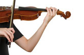 バイオリン（ヴァイオリン）の写真